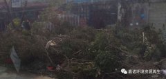 超強(qiáng)臺(tái)風(fēng)災(zāi)害后垃圾處理，援助第1站：惠州